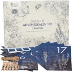 Saatgut Blumen Adventskalender